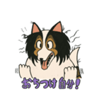シェルティのジョナサン トークスタンプ3（個別スタンプ：4）