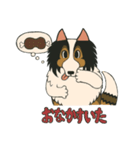 シェルティのジョナサン トークスタンプ3（個別スタンプ：5）