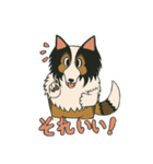 シェルティのジョナサン トークスタンプ3（個別スタンプ：6）