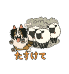 シェルティのジョナサン トークスタンプ3（個別スタンプ：7）