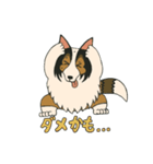 シェルティのジョナサン トークスタンプ3（個別スタンプ：8）