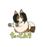 シェルティのジョナサン トークスタンプ3（個別スタンプ：9）