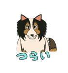 シェルティのジョナサン トークスタンプ3（個別スタンプ：10）