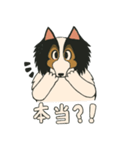 シェルティのジョナサン トークスタンプ3（個別スタンプ：15）