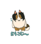 シェルティのジョナサン トークスタンプ3（個別スタンプ：16）