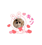 ラブ♡ウィル（個別スタンプ：3）