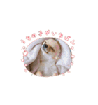 ラブ♡ウィル（個別スタンプ：4）