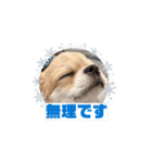 ラブ♡ウィル（個別スタンプ：11）
