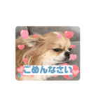 ラブ♡ウィル（個別スタンプ：14）