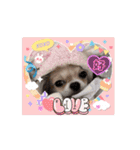 ラブ♡ウィル（個別スタンプ：16）