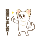 白いチワワの敬語スタンプ（個別スタンプ：4）