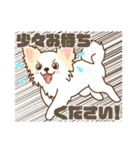 白いチワワの敬語スタンプ（個別スタンプ：6）