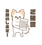 白いチワワの敬語スタンプ（個別スタンプ：9）