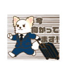 白いチワワの敬語スタンプ（個別スタンプ：17）