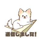 白いチワワの敬語スタンプ（個別スタンプ：19）