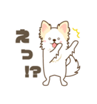 白いチワワの敬語スタンプ（個別スタンプ：23）