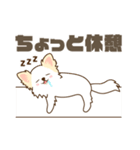 白いチワワの敬語スタンプ（個別スタンプ：28）