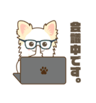 白いチワワの敬語スタンプ（個別スタンプ：29）