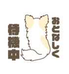 白いチワワの敬語スタンプ（個別スタンプ：33）