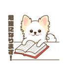 白いチワワの敬語スタンプ（個別スタンプ：38）