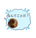 犬スタンプ大集合！（個別スタンプ：32）