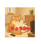 ぽっちゃりまる柴犬（個別スタンプ：4）
