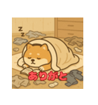 ぽっちゃりまる柴犬（個別スタンプ：9）