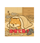 ぽっちゃりまる柴犬（個別スタンプ：10）