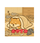 ぽっちゃりまる柴犬（個別スタンプ：11）