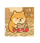 ぽっちゃりまる柴犬（個別スタンプ：16）