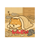 ぽっちゃりまる柴犬（個別スタンプ：26）
