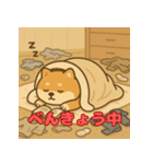 ぽっちゃりまる柴犬（個別スタンプ：27）