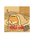ぽっちゃりまる柴犬（個別スタンプ：28）