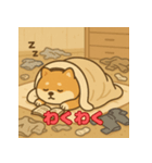 ぽっちゃりまる柴犬（個別スタンプ：37）