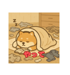 ぽっちゃりまる柴犬（個別スタンプ：38）