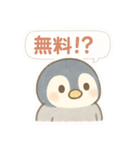 ポイ活＆無料配布をたしなむペンギン（個別スタンプ：1）