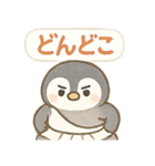 ポイ活＆無料配布をたしなむペンギン（個別スタンプ：6）
