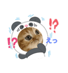 にゃんこ可愛いよ（個別スタンプ：2）