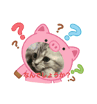 にゃんこ可愛いよ（個別スタンプ：3）
