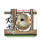 にゃんこ可愛いよ（個別スタンプ：4）
