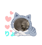 にゃんこ可愛いよ（個別スタンプ：6）
