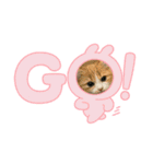 にゃんこ可愛いよ（個別スタンプ：8）