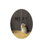 ぽてと(猫)スタンプ（個別スタンプ：2）