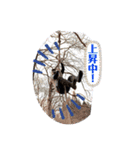 ケンドーカシンスタンプ5（個別スタンプ：7）
