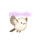 シマエナガeveryday！（個別スタンプ：1）