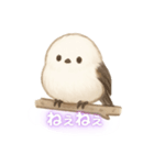 シマエナガeveryday！（個別スタンプ：6）
