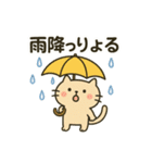 香川の讃岐弁にゃんこやで（個別スタンプ：5）