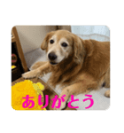 なおとクン⭐︎スタンプ（個別スタンプ：3）