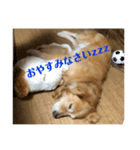 なおとクン⭐︎スタンプ（個別スタンプ：5）