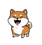 シュールでかわいい柴犬のスタンプ（個別スタンプ：2）
